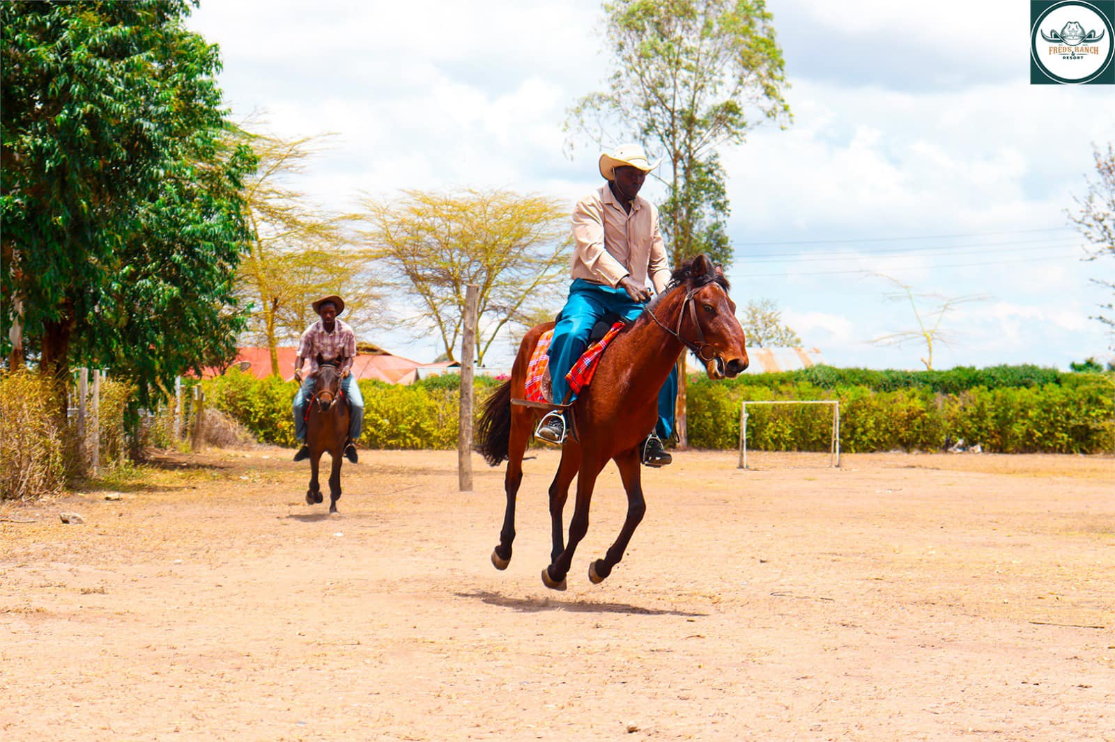 Intermediate Horse Riding