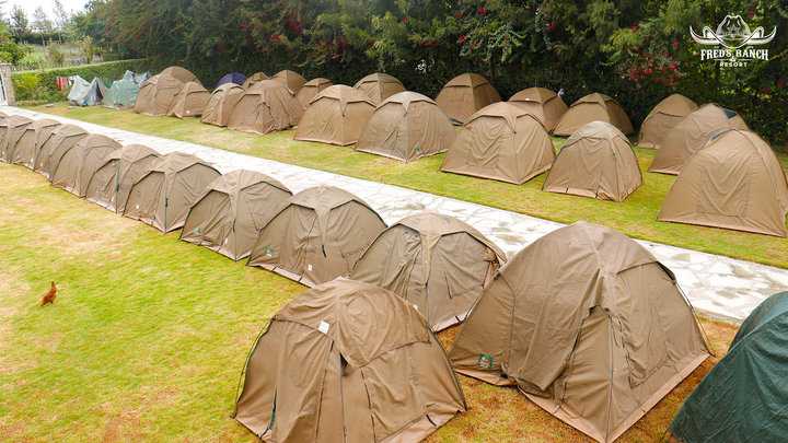 Camping Grounds - Nature