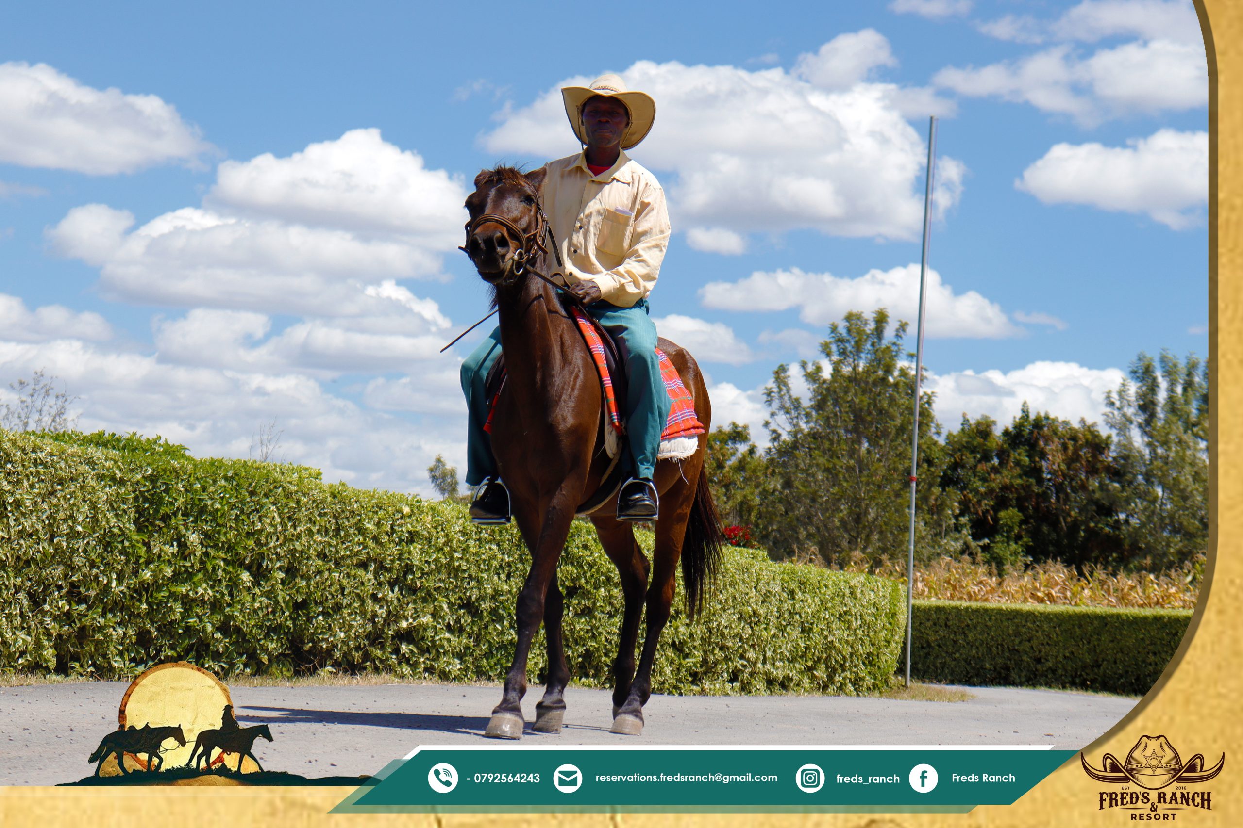 Beginner Horse Riding