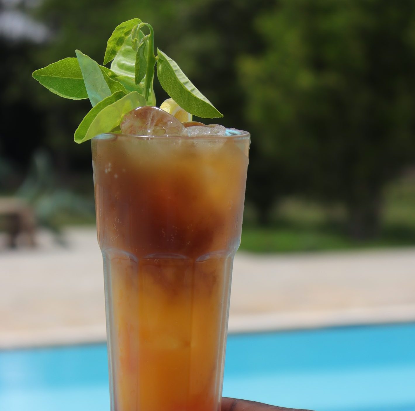 Sugarcane, Lime & Ginger