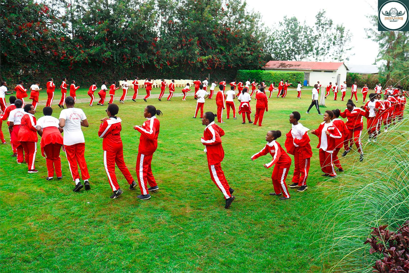 Team Building at Fred's Ranch