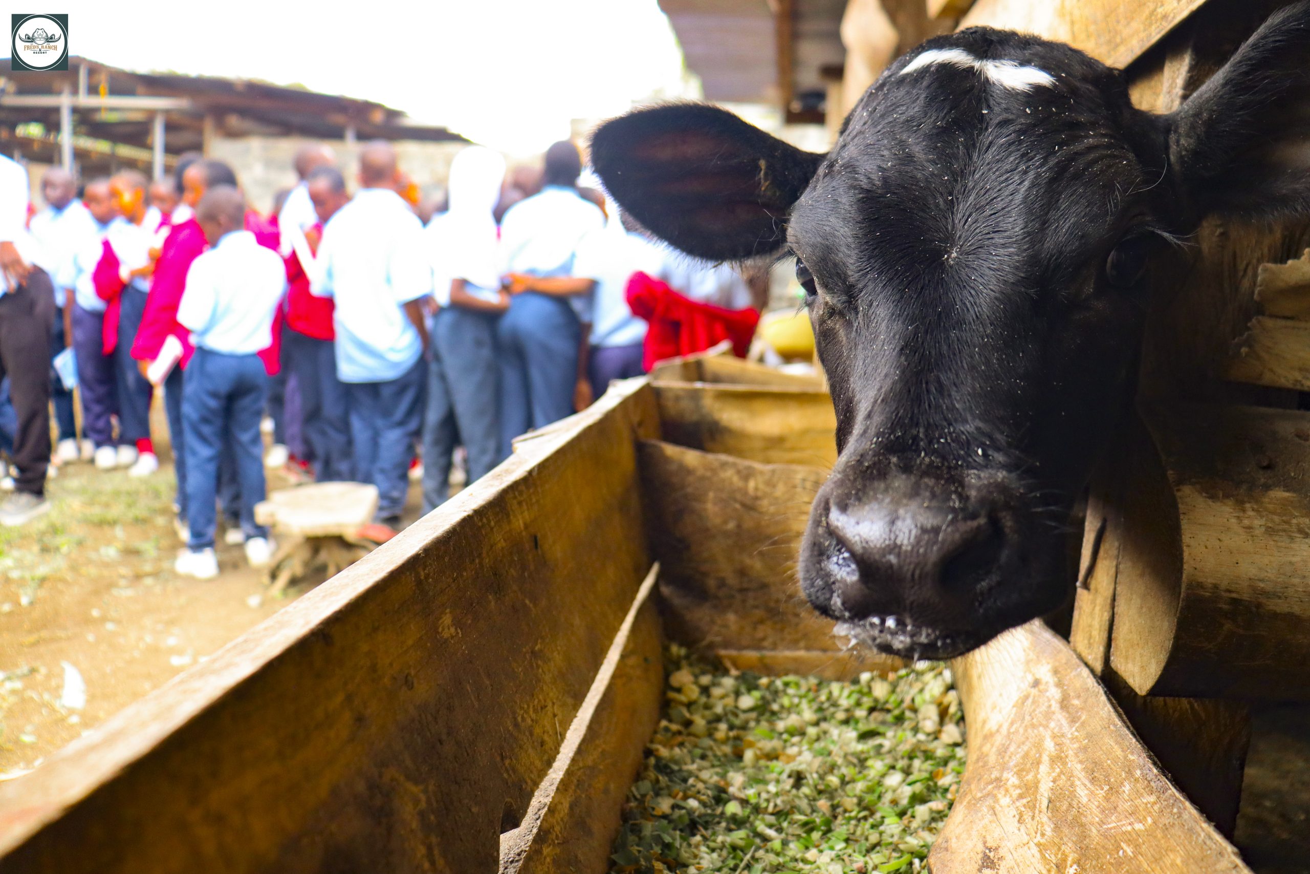 Farm Tours at Fred's Ranch