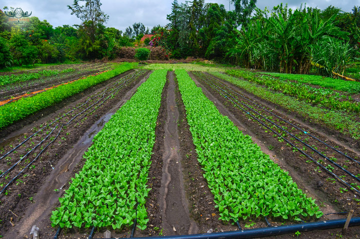Educational Tours at Fred's Ranch